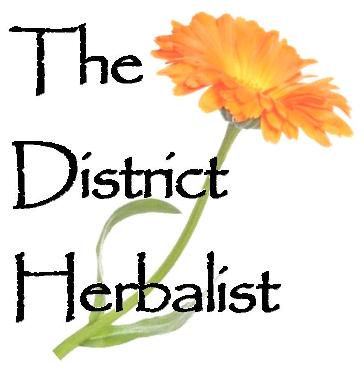 Logo 1 papyrus jpg 50