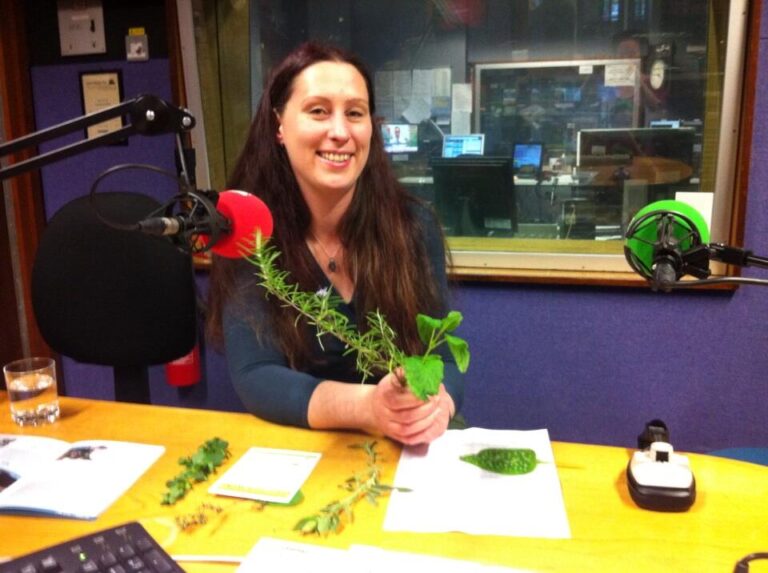 bbcinterview 768x573