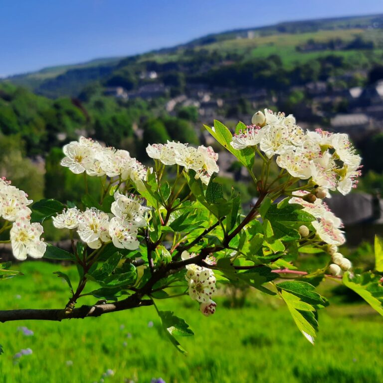 IMG 20230526 180418 410 768x768