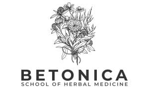 Інтернет Betonica School Logo