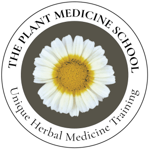 The Plant Medicine School Plant Medicine School Logo