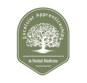 excelsior-mono-white-green Excelsior Apprentichips in Herbal Medicine Logo